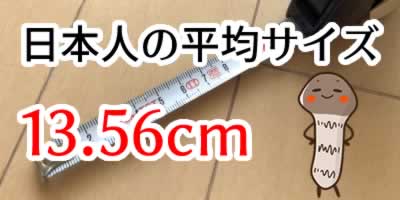 日本 人 ペニス ペニスサイズデータ