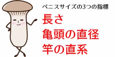 直径 ちんこ